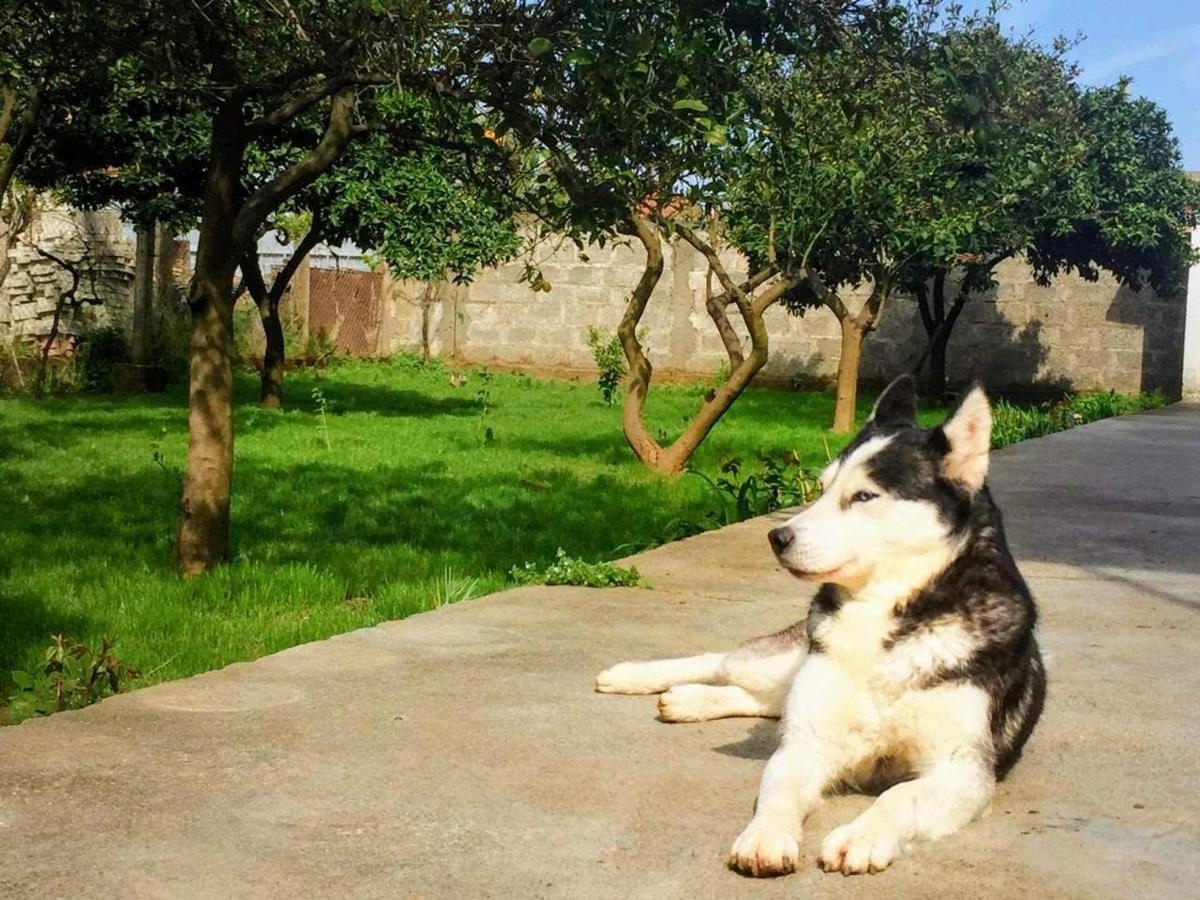 Mia - Entire With Balcony & Garden *