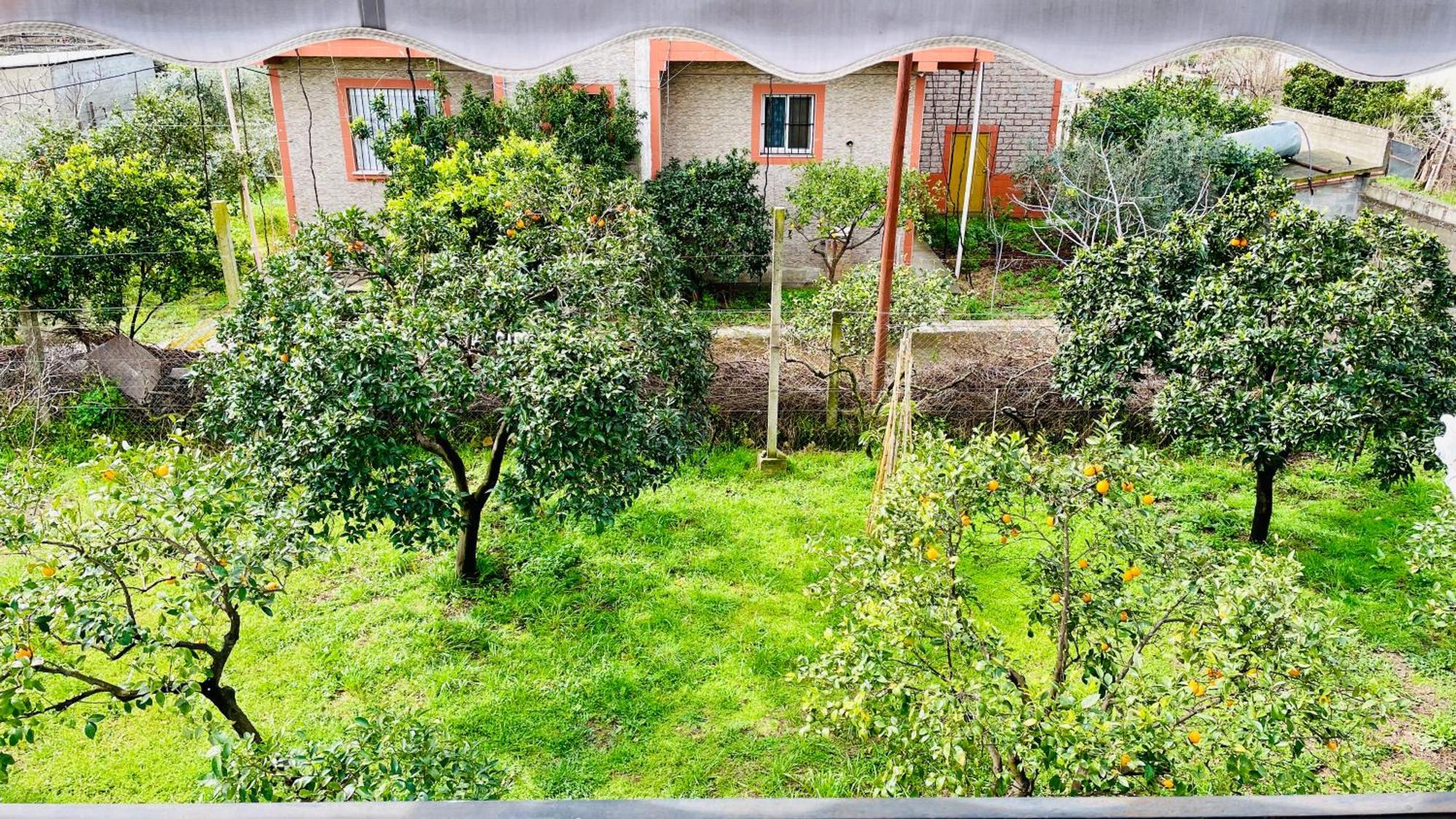 Mia - Entire With Balcony & Garden Apartamento Divjake